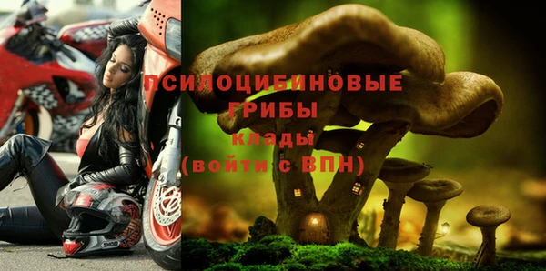 трава Богородицк